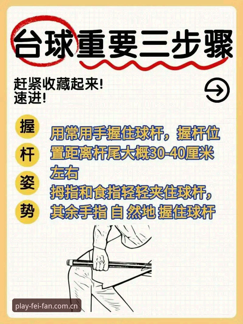 非凡体育数据查询必备实用技巧：从新手到高手的快速指南